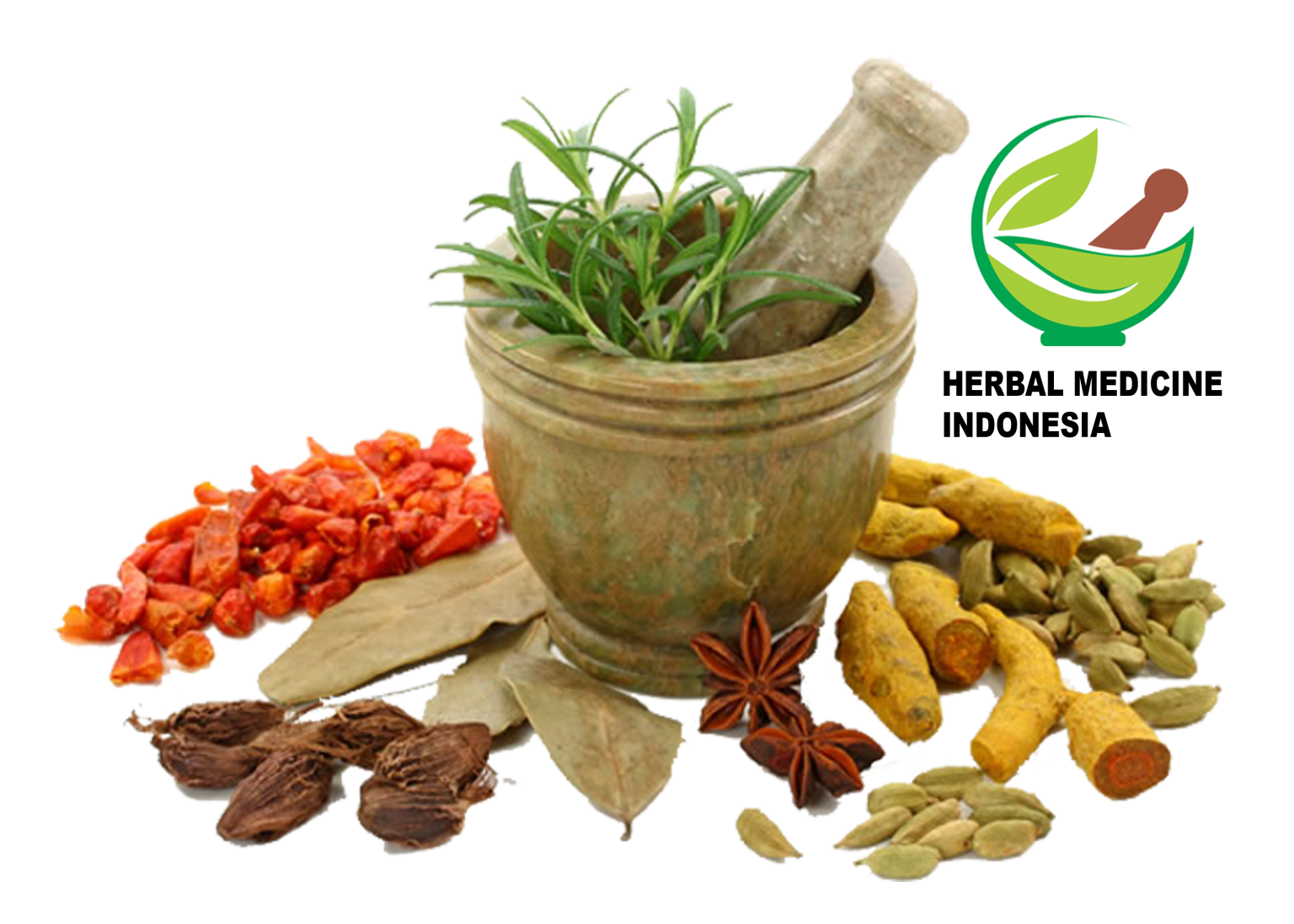 Goldenseal Herb Plant Benefits Herbal Medicines