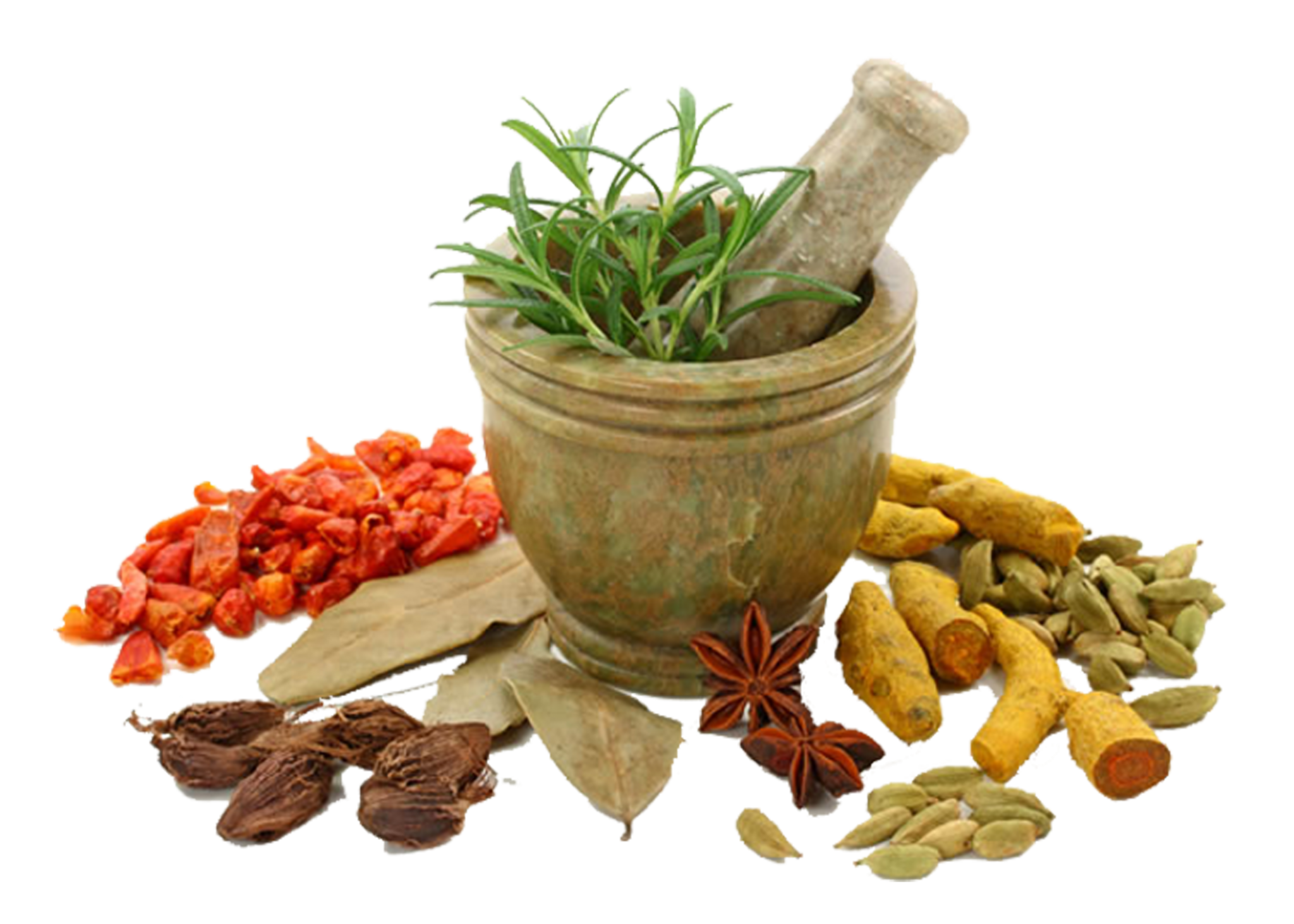 Organic Herbs Medicine and Spices Suppliers Ben Sehat Sejahtera Co.,Ltd
