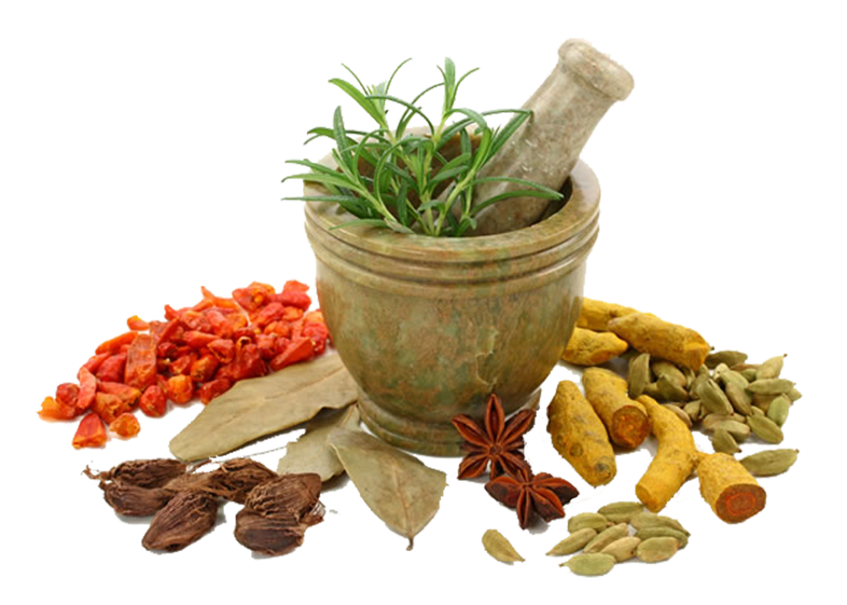 herbal medicine indonesian