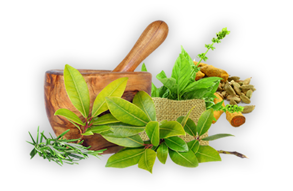 Get To Know Herbal Medicine | Herbal Medicine Indonesia