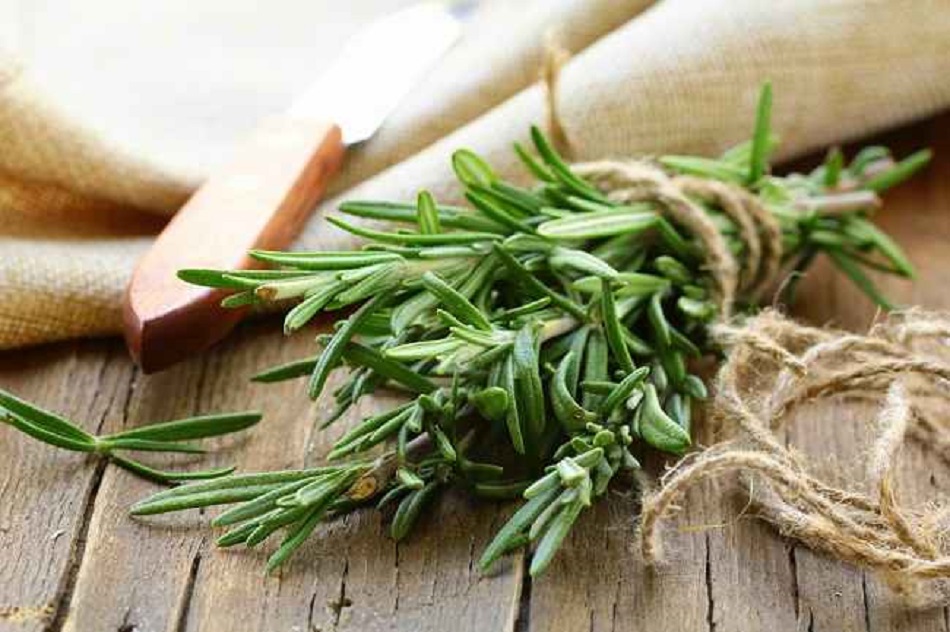 benefits and content of rosemary