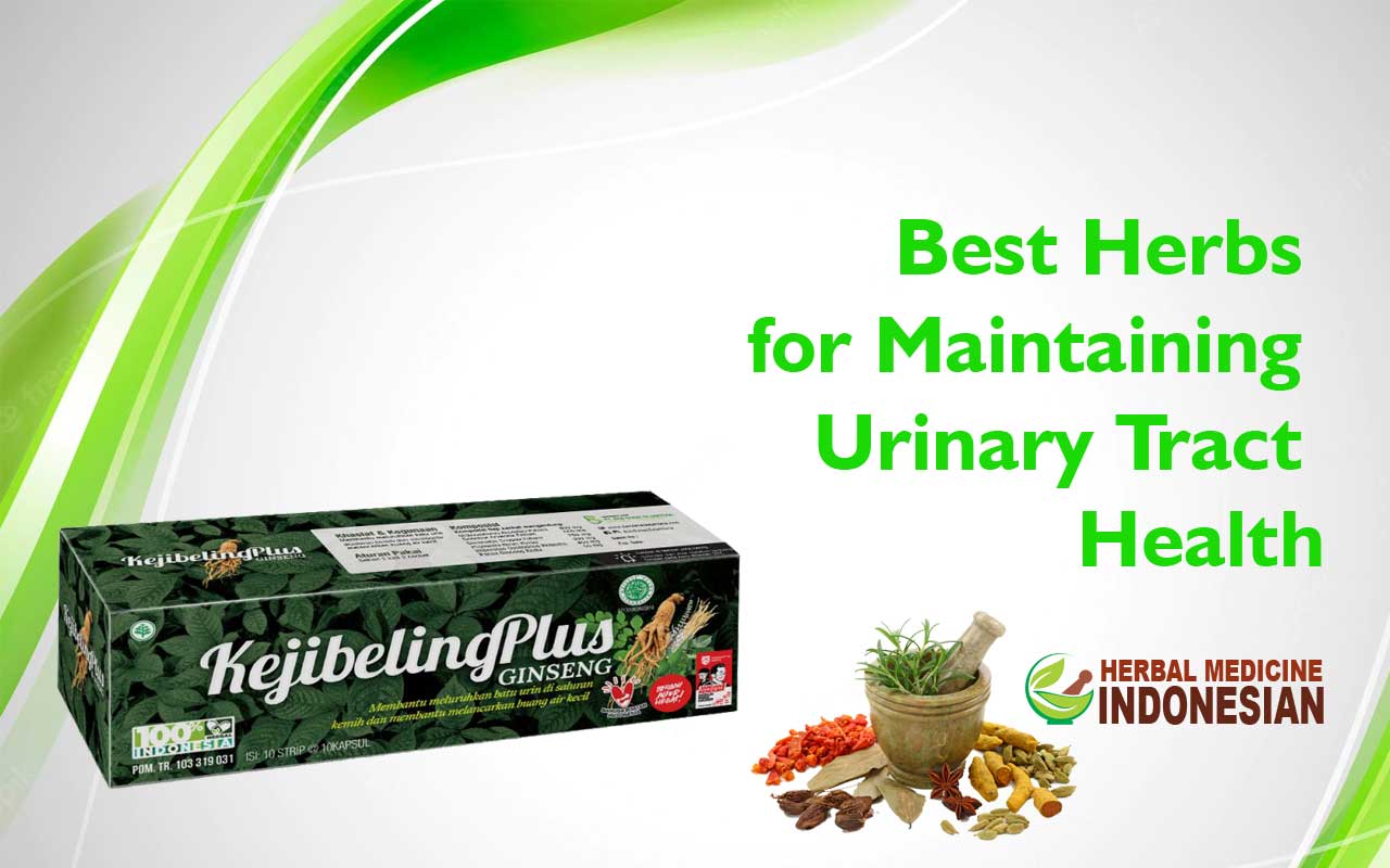 Best Herbs for Maintaining Urinary Tract Health