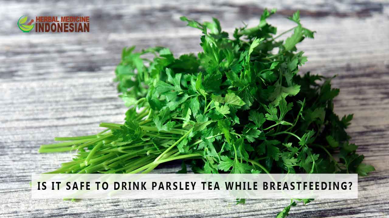 Is It Safe to Drink Parsley Tea While Breastfeeding? Herb Medicine Indonesia