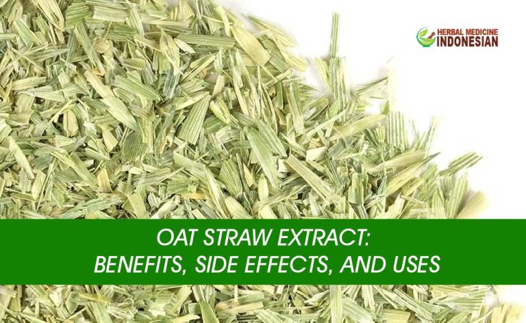 Oat Straw Benefits Herb Medicine