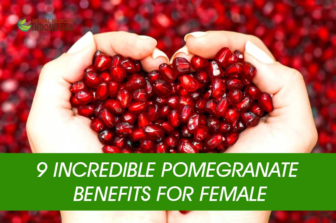 Benefits Of Pomegranate For Women Pt Ben Sehat Sejahtera