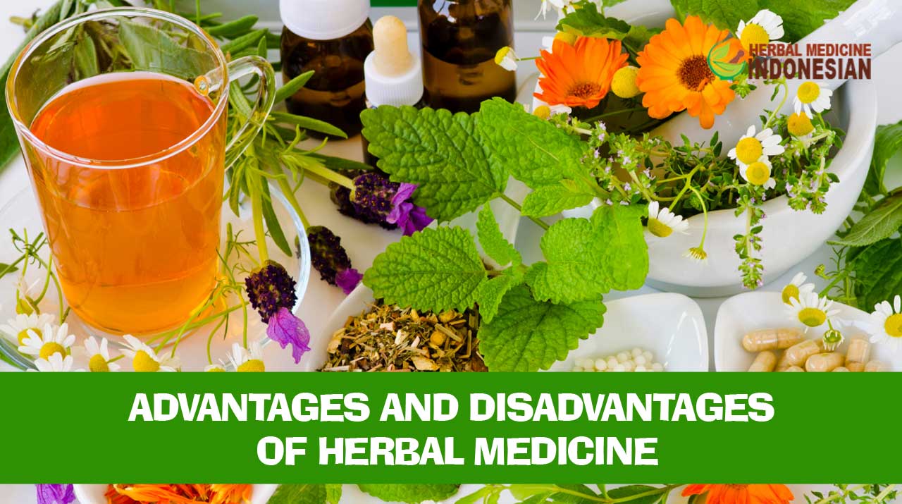 advantages-and-disadvantages-of-herbal-medicine-herbal-medicines