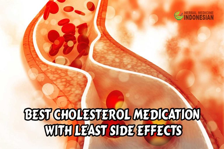 Cholesterol Medication | Herb Medicine