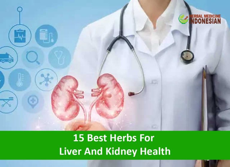 10 Herbs for Liver and Kidney Health Herb Medicine Indonesia