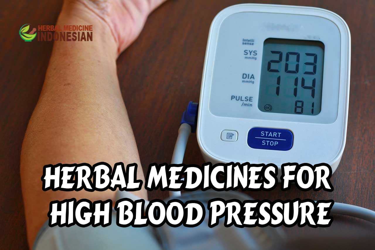 5 Herbal Medicines for High Blood Pressure | Herbal Medicine Indonesia