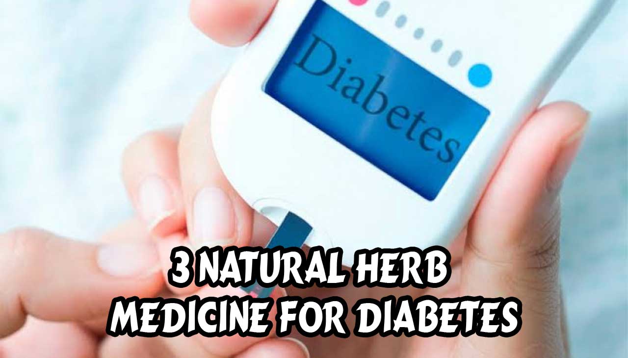 3 Natural Herb Medicine for Diabetes | PT. Ben Sehat Sejahtera