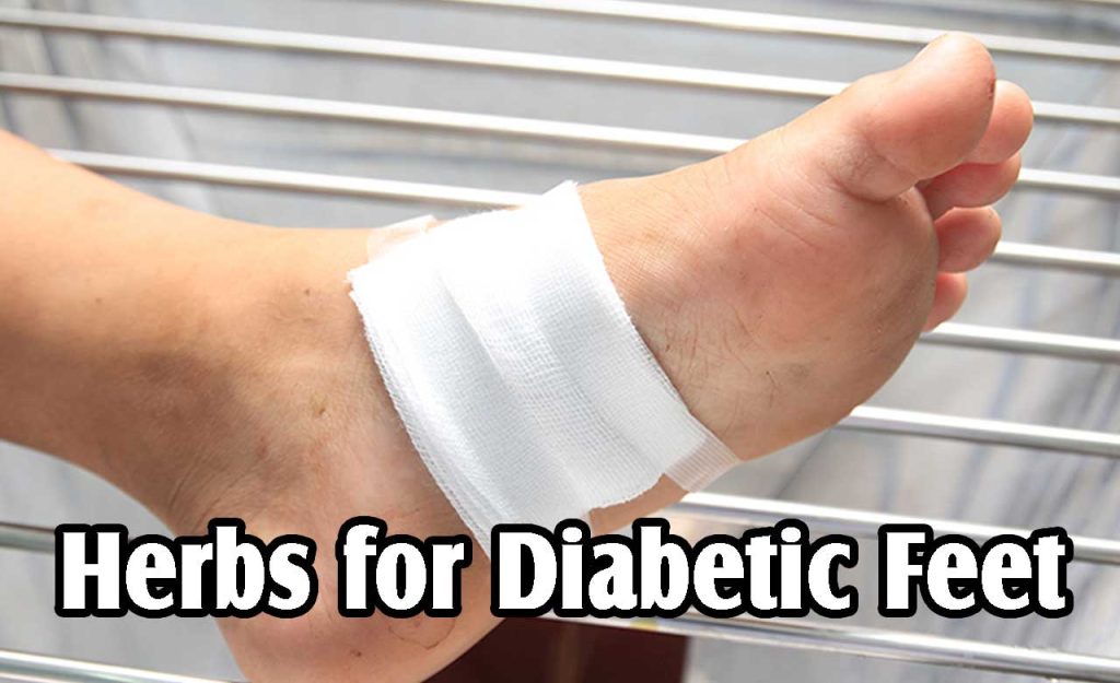 Herbs for Diabetic Feet Herb Medicine Indonesia