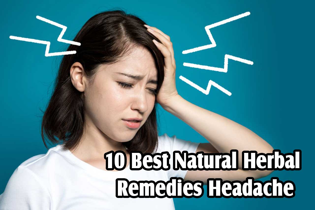 10 Best Natural Herbal Remedies Headache Herb Medicine Indonesia