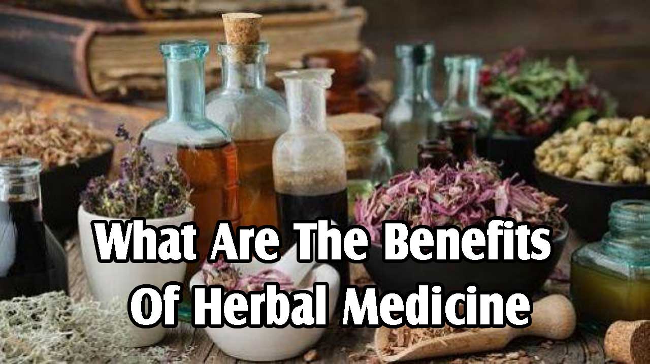What Are The Benefits Of Herbal Medicine? PT. Ben Sehat Sejahtera