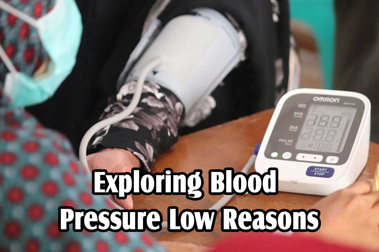 6 Blood Pressure Low Reasons Herb Medicine Indonesia