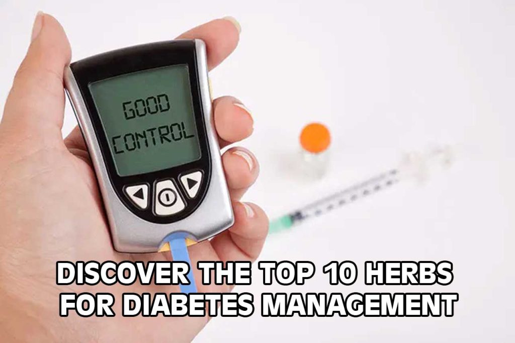 Discover the Top 10 Herbs for Diabetes Management | PT. Ben Sehat Sejahtera