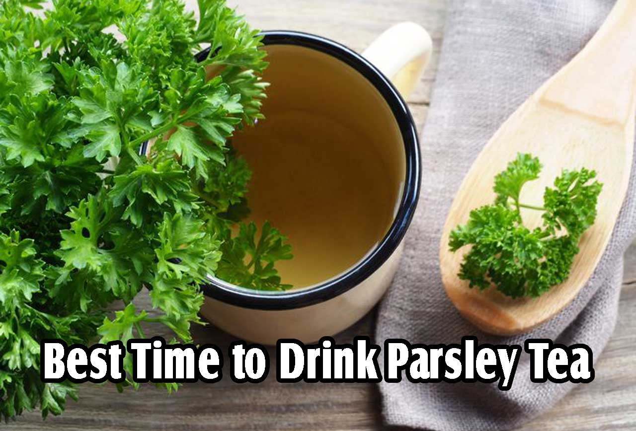 Best Time to Drink Parsley Tea PT. Ben Sehat Sejahtera