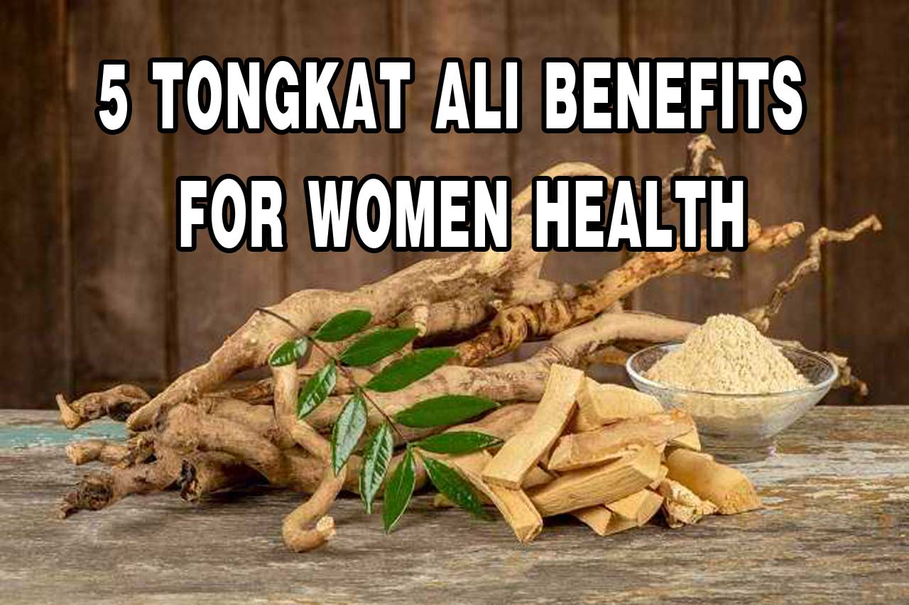 5 Tongkat Ali Benefits For Women Health Herb Medicine Indonesia