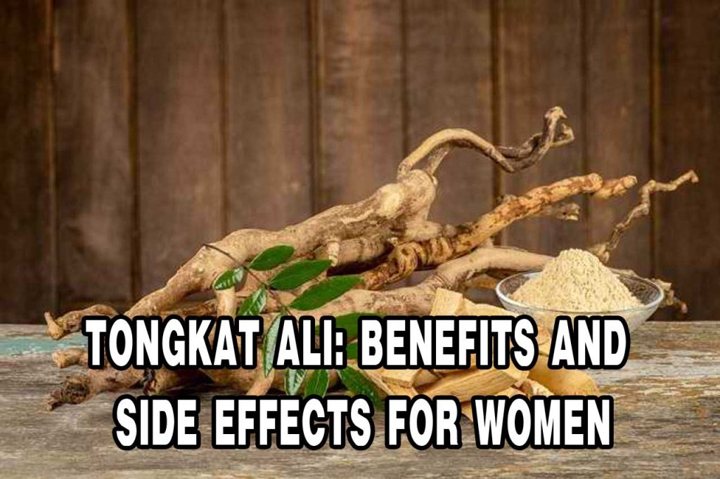 Tongkat Ali Benefits and Side Effects for Women PT. Ben Sehat Sejahtera