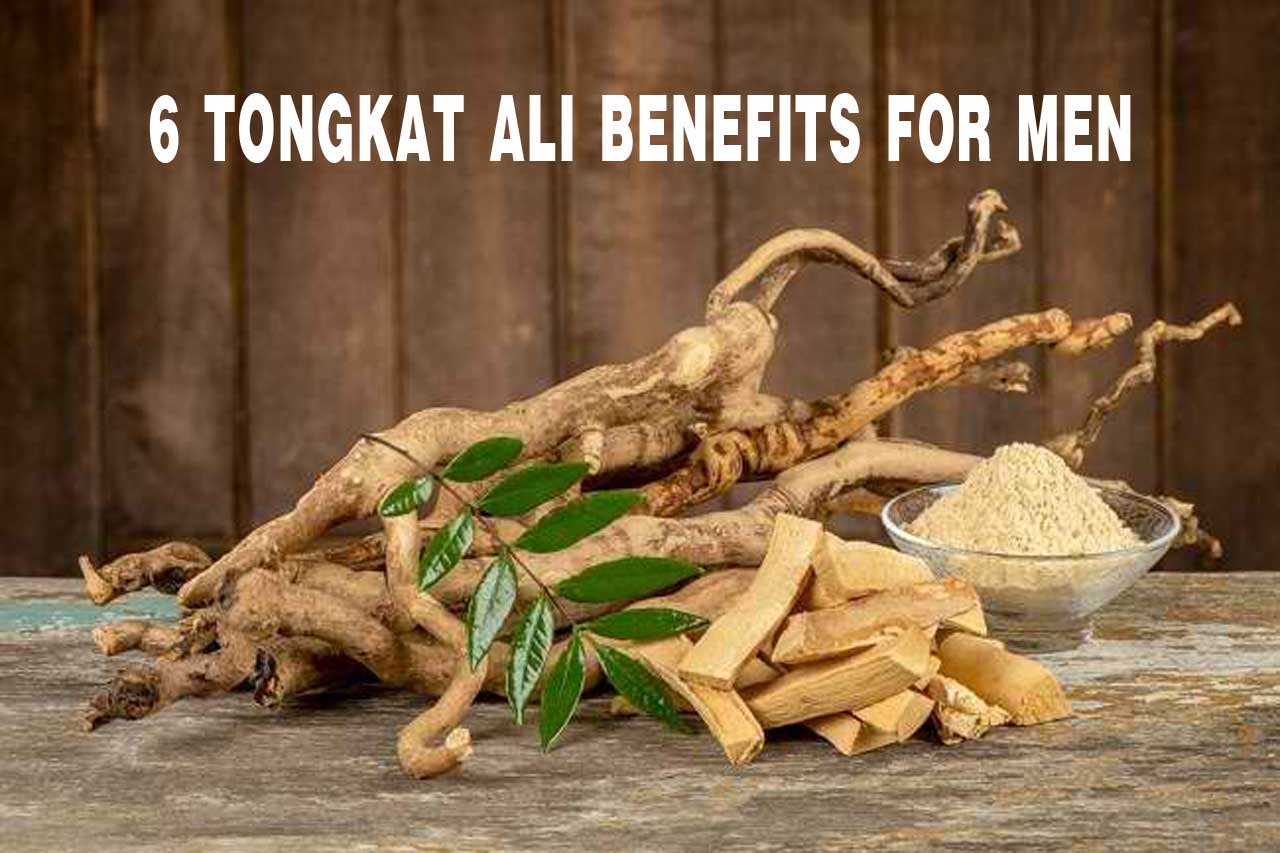 6 Tongkat Ali Benefits For Men PT. Ben Sehat Sejahtera