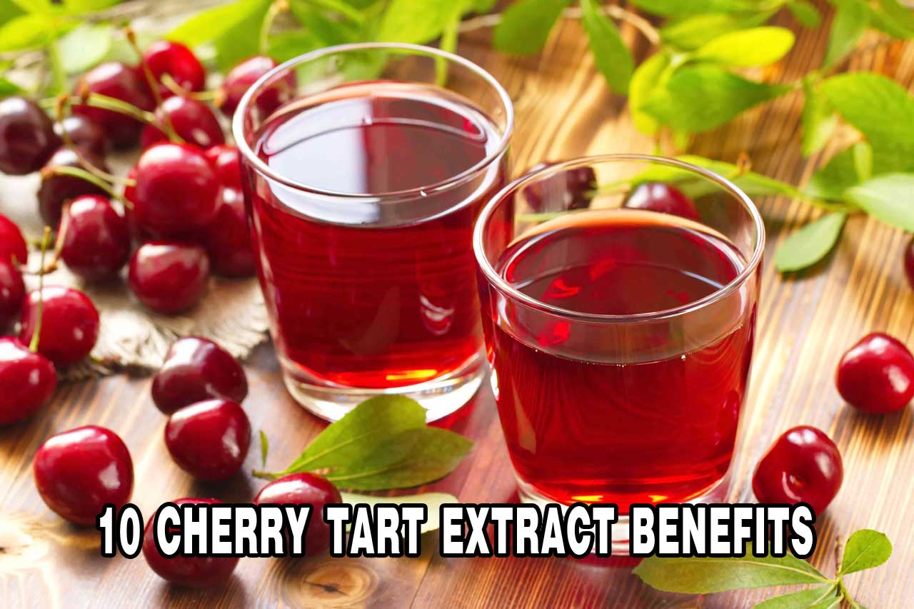 10 Tart Cherry Extract Health Benefits PT. Ben Sehat Sejahtera