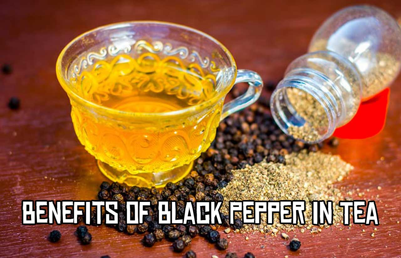 Ginger and Black Pepper Tea Benefits PT. Ben Sehat Sejahtera
