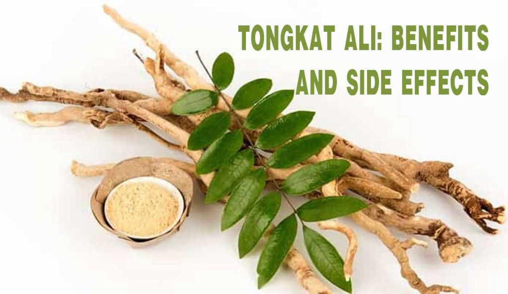 5 Tongkat Ali Benefits And Side Effects PT. Ben Sehat Sejahtera