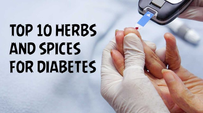 Top 10 Herbs and Spices for Diabetes | PT. Ben Sehat Sejahtera